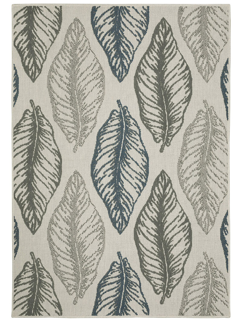Torrey 5570Y Collection image number 0