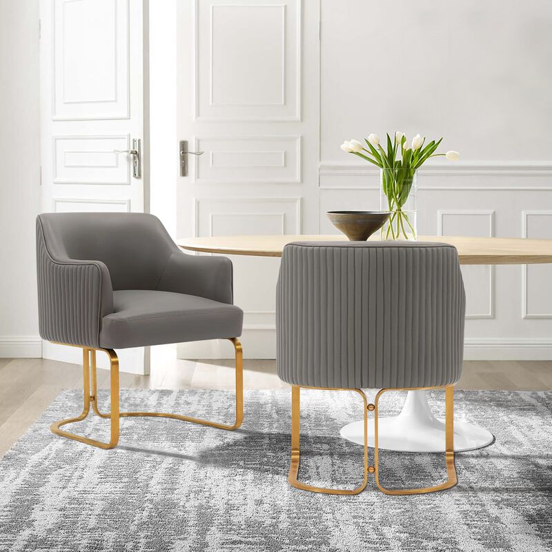 Raya Gray Dining Arm Chairs (Set of 2)