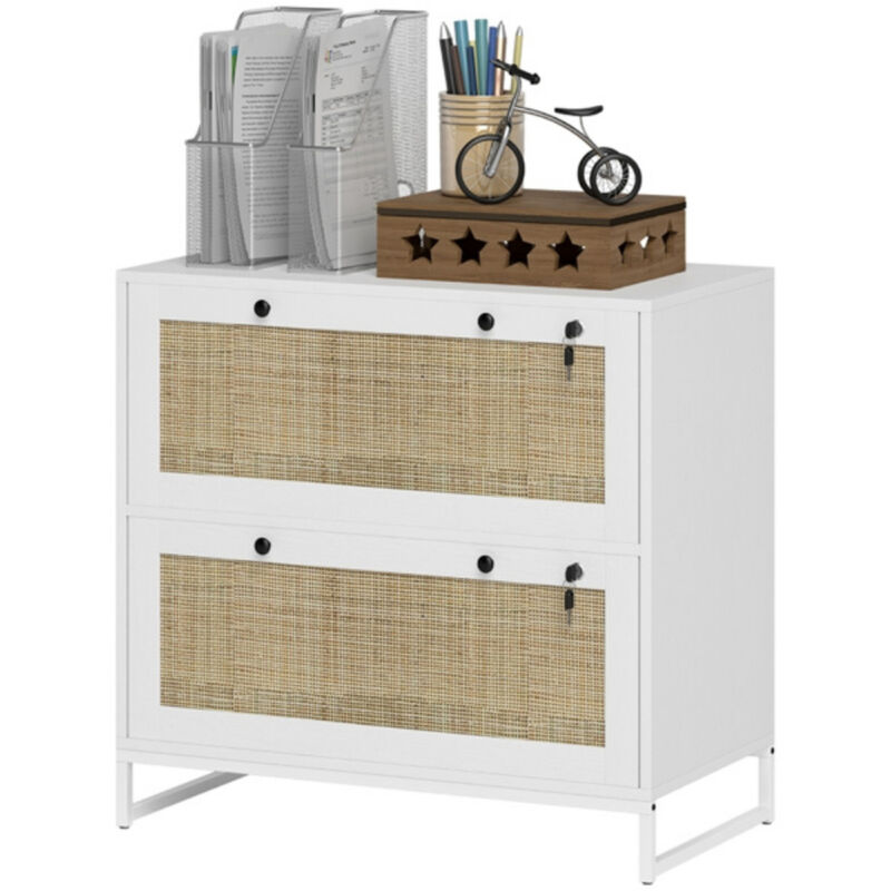 Multi-Purpose File Cabinet and Storage Cabinet for Home or Office