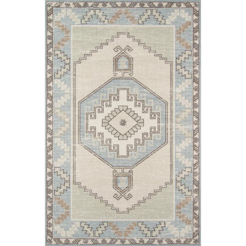 Momeni Traditional Rectangle Area Rug
