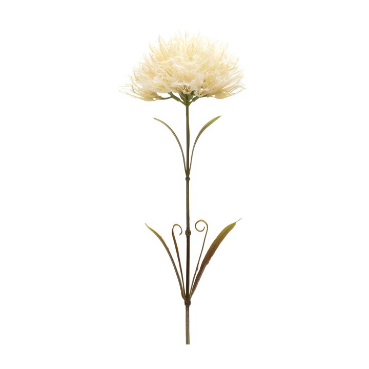 Whimsical Displays with a Set of 6 Puff Stems - Vibrant Colors and Fluffy Texture