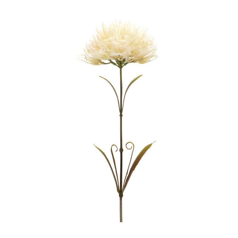 Whimsical Displays with a Set of 6 Puff Stems - Vibrant Colors and Fluffy Texture