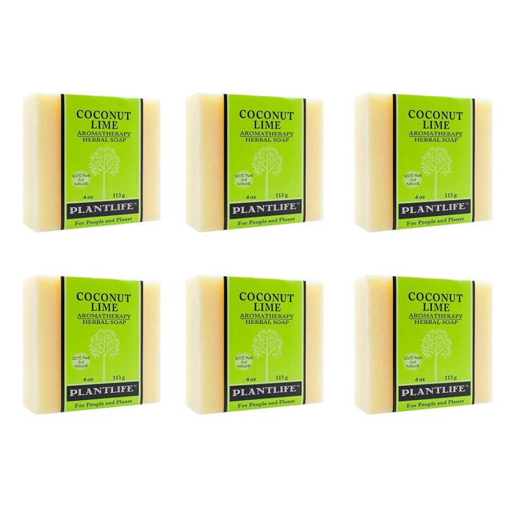 Plantlife Bar Soap - Coconut Lime 6 Pack