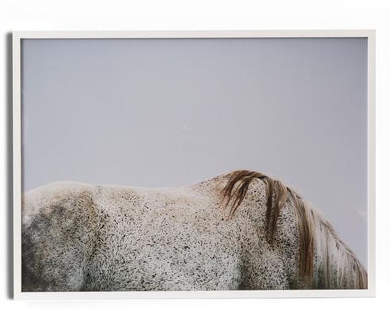 Graze image number 0