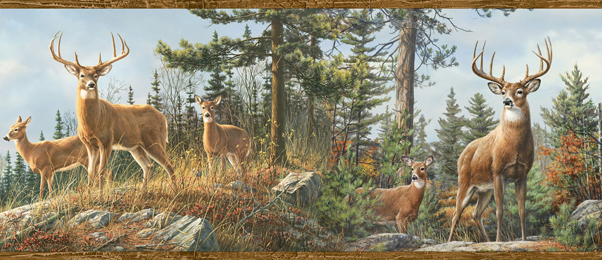 Whitetail Crest Multicolor Forest Wallpaper