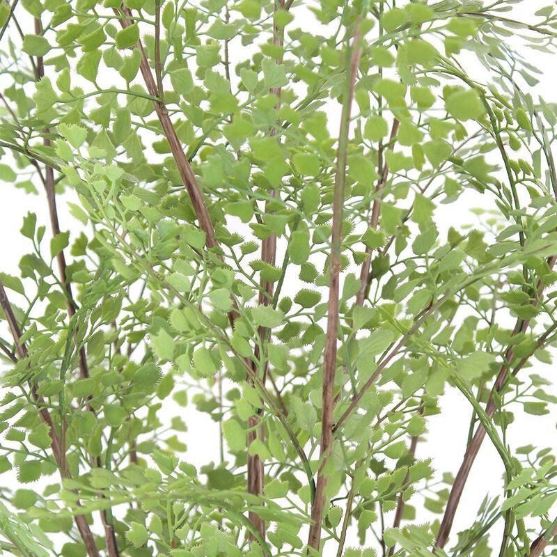 Faux Maidenhair Fern image number 5