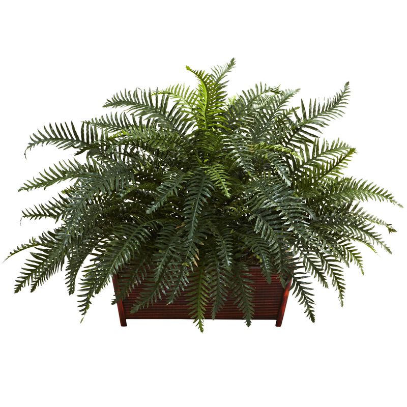 Hivvago River Fern w/Wood Planter