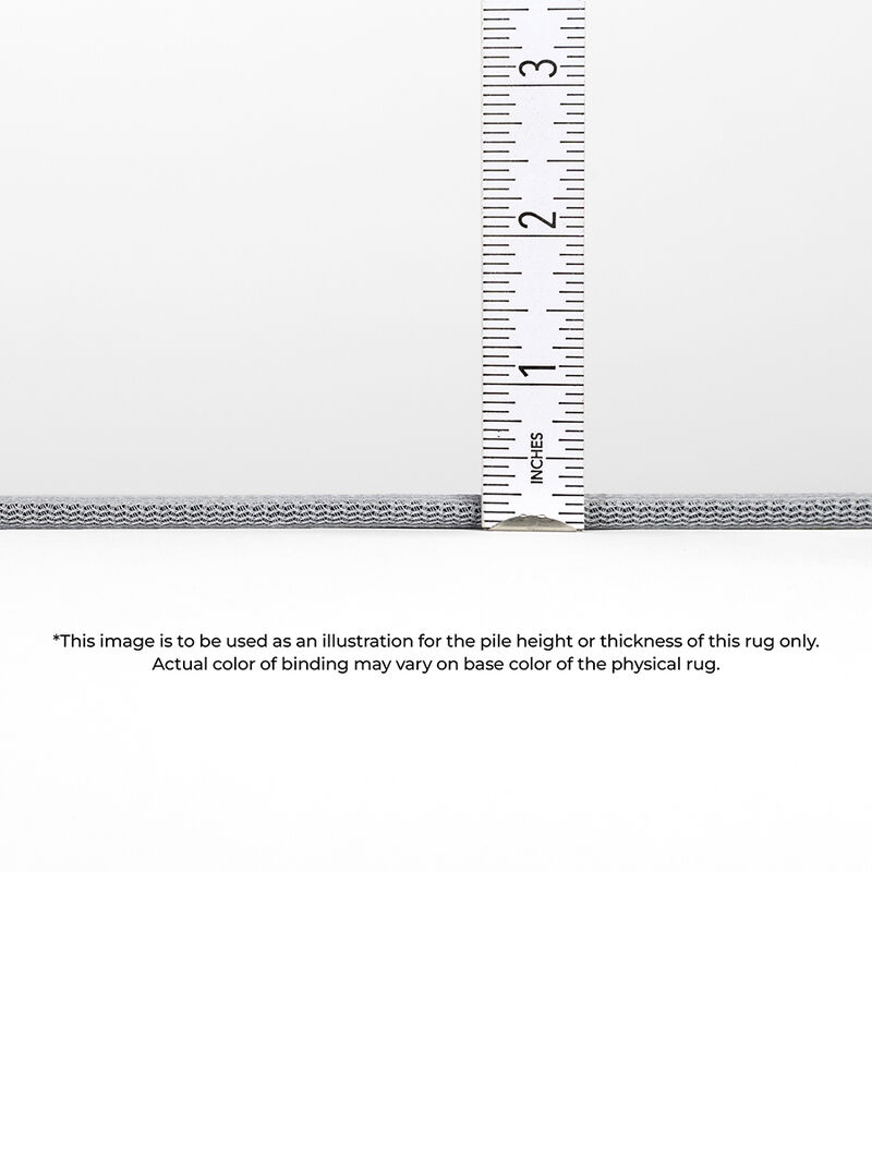 Phoenix PH1 Pacifica 10' x 14' Rug