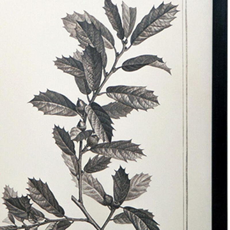 HomeRoots Set of Two Black And White Botanical Leaves Framed Art image number 5