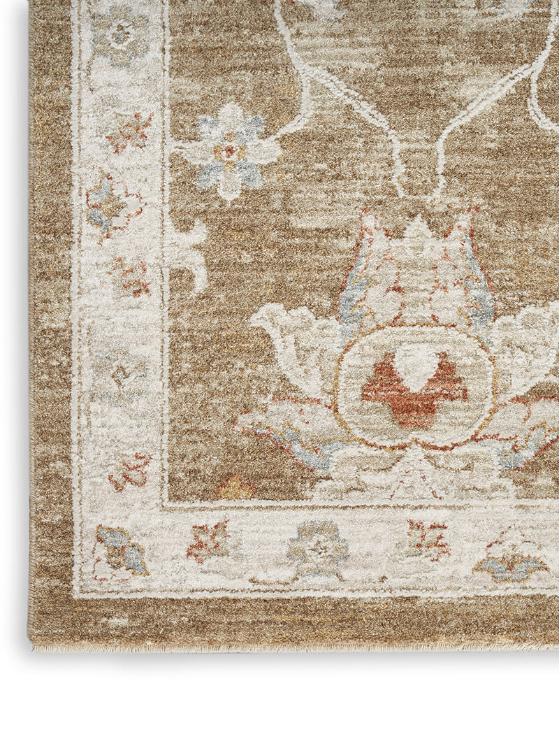 Infinite IFT04 Mocha 5'3" x 7'8" Rug