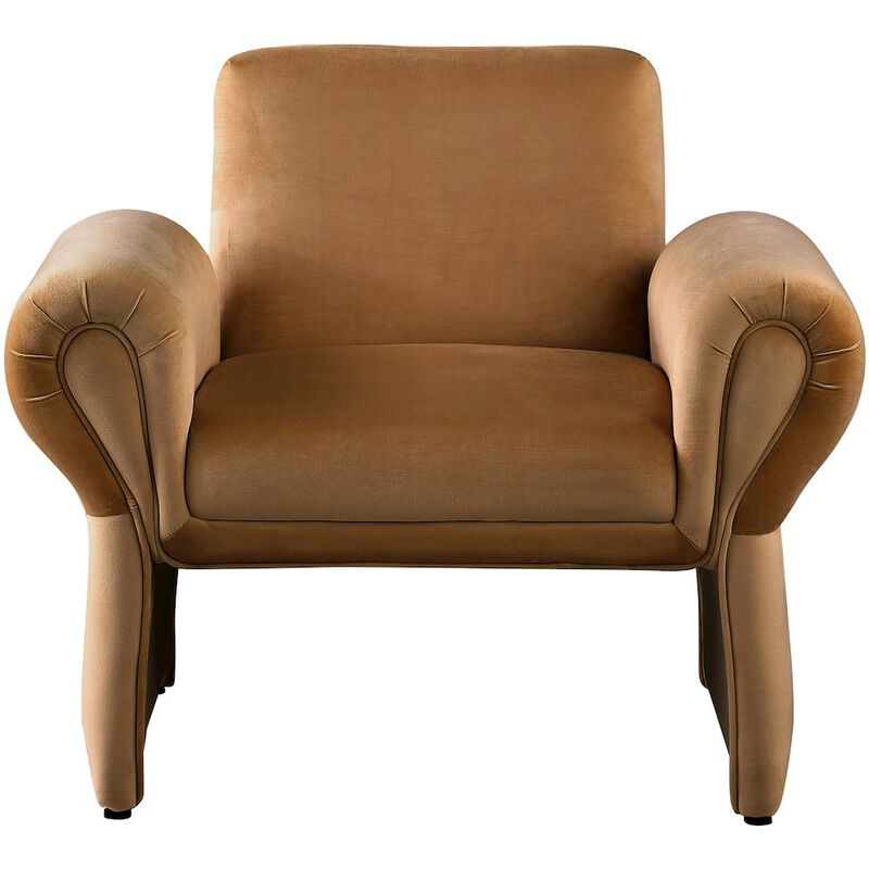 Meridian Furniture Fleurette Saddle Velvet Accent Chair image number 0