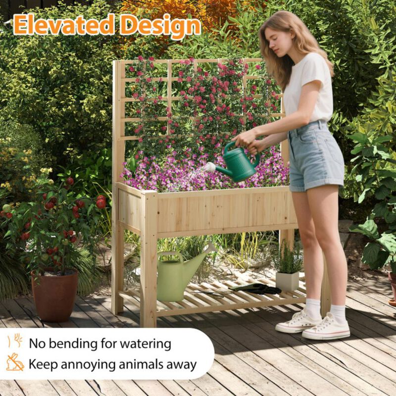 Hivvago Raised Garden Bed with Trellis Wooden Elevated Planter Box with Legs
