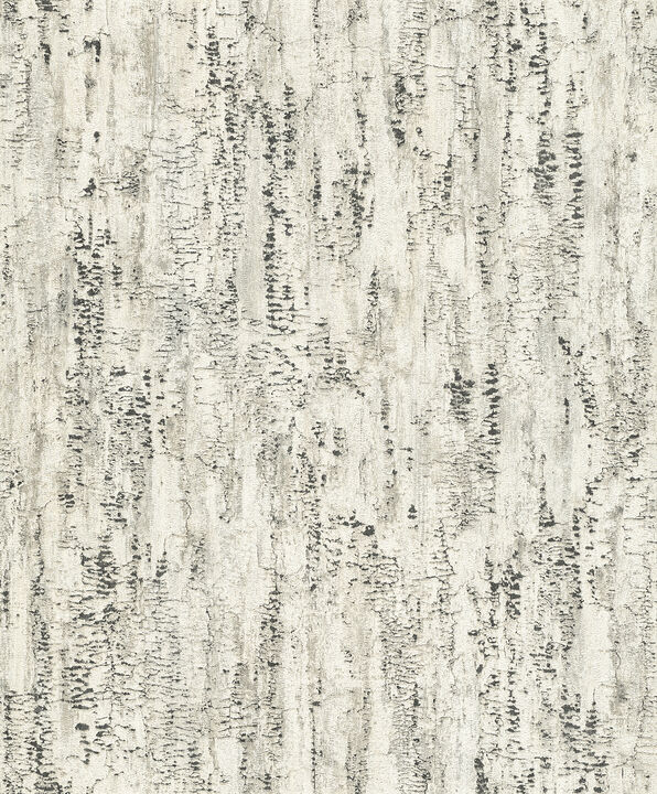 Colm Charcoal Birch Wallpaper