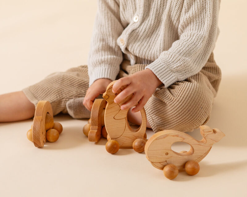 Easy Grasp Whale Push Toy image number 3