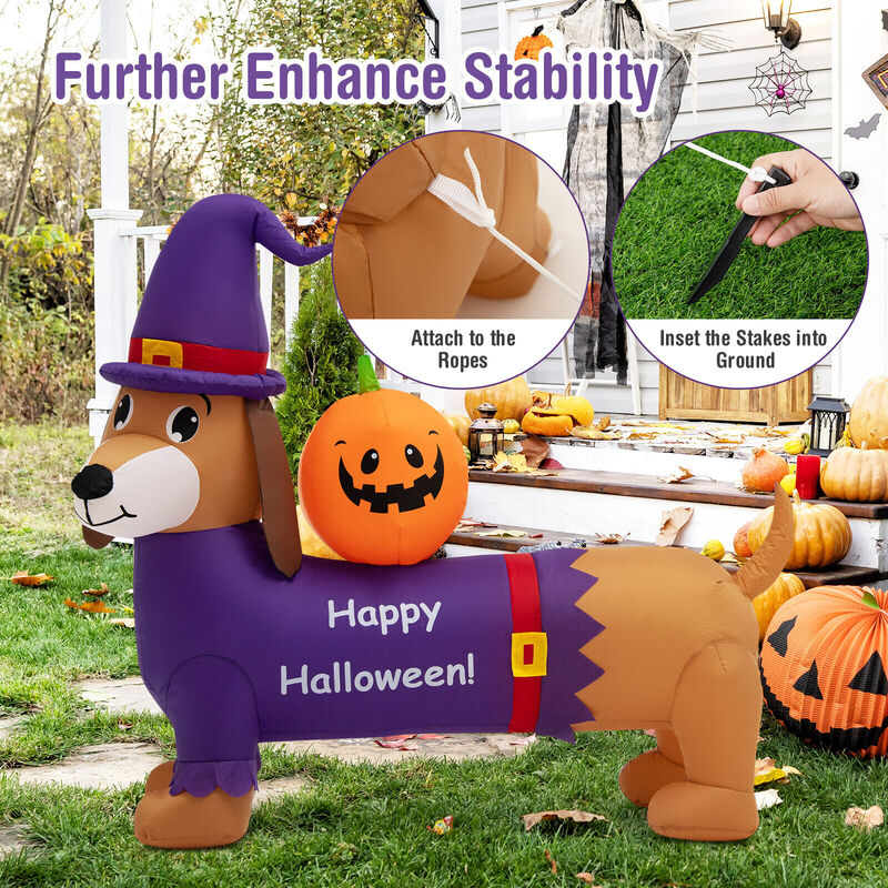 5 Feet Long Halloween Inflatable Dachshund Dog with Pumpkin image number 2