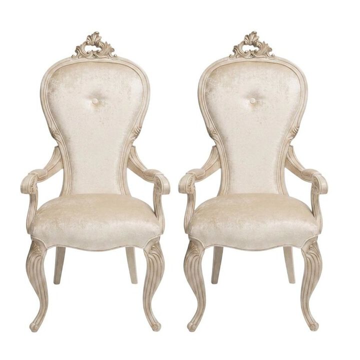 Starlight Canyon Home Champagne Velvet Dining Arm Chairs Set of 2 with Rubberwood Frame