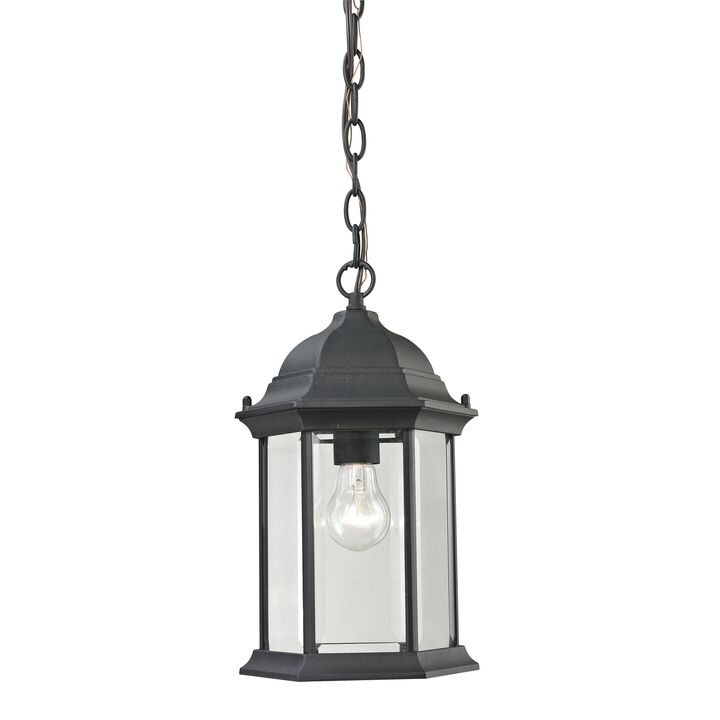 Spring Lake 8'' Wide 1-Light Outdoor Pendant