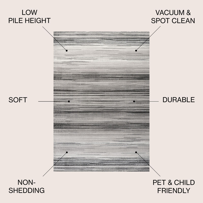 Austin Gradient Striped Area Rug