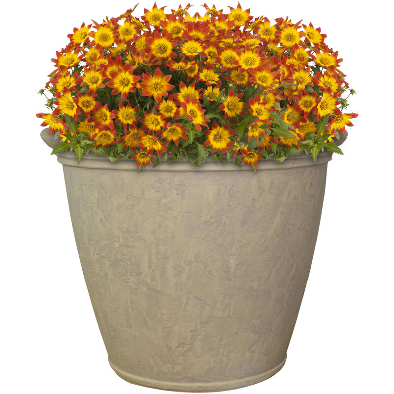 Sunnydaze 24 in Anjelica Polyresin Planter with UV-Resistance