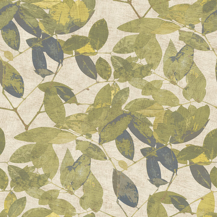 Beech Leaves Wallpaper