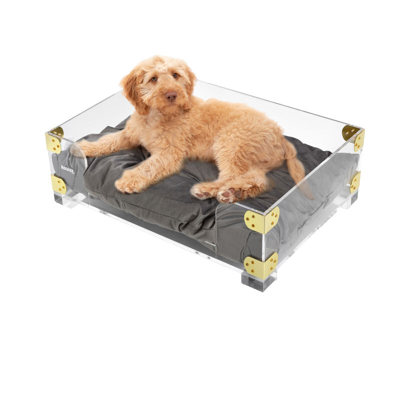 Haines Small/Medium Modern Lucite Velvet Pet Bed with Washable Cushion