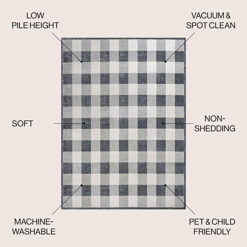 Gingham Gradient Plaid Cottage Machine-Washable Light Area Rug