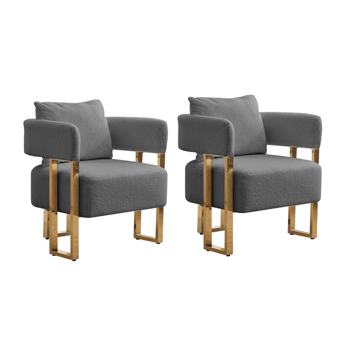 Set of 2 Teddy Fleece Accent Chairs with Gold Metal Legs for Living Room