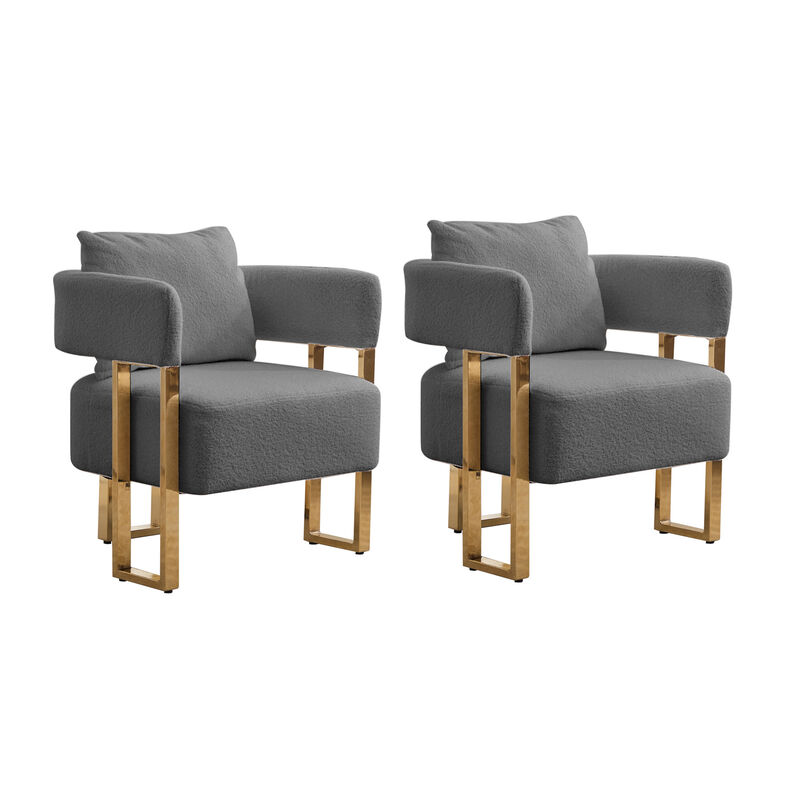Set of 2 Teddy Fleece Accent Chairs with Gold Metal Legs for Living Room image number 0