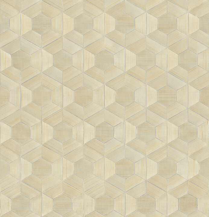 Linzhi Metallic Abaca Grasscloth Wallpaper (Set of 2)