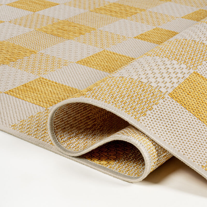 Darcy Traditional Geometric Bold Gingham Indoor/Outdoor Area Rug