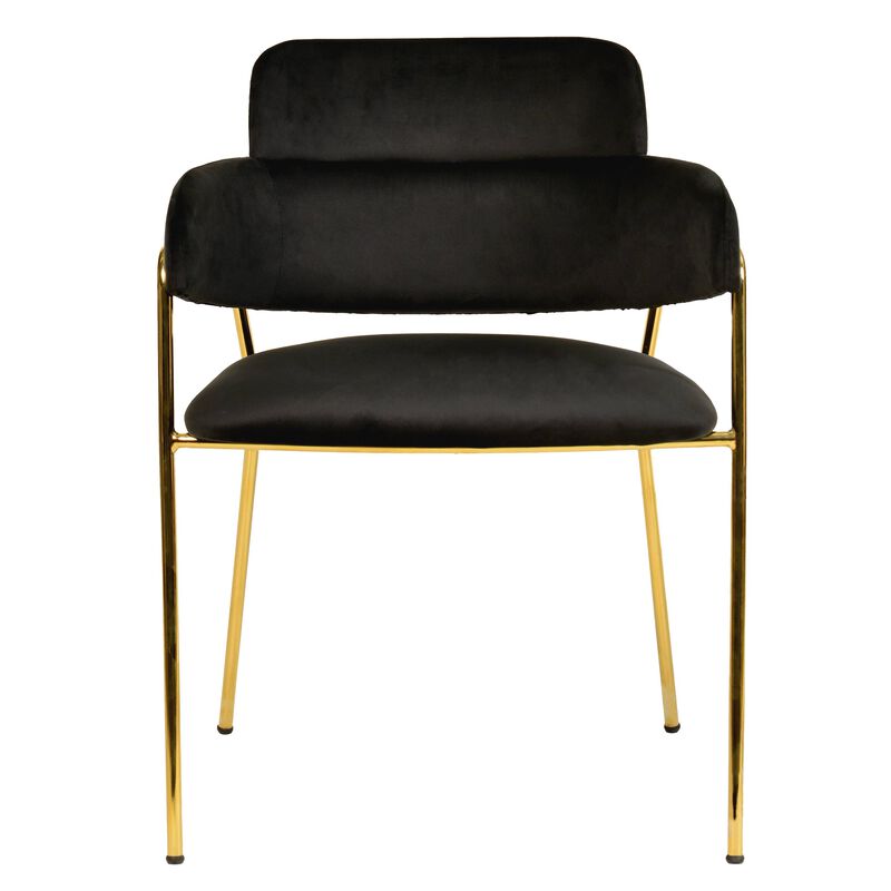 Axis Upholstered Dining Chairs Curved Open-Back & Gold Legs Set of 2 in