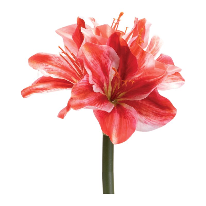 Amaryllis Faux Flower Stems Set of 6 for Seasonal Centerpieces or Bouquets