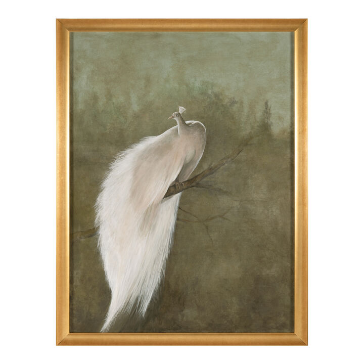 The White Peacock