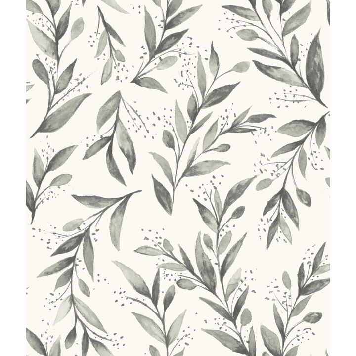 Olive Branch Charcoal Wallpaper