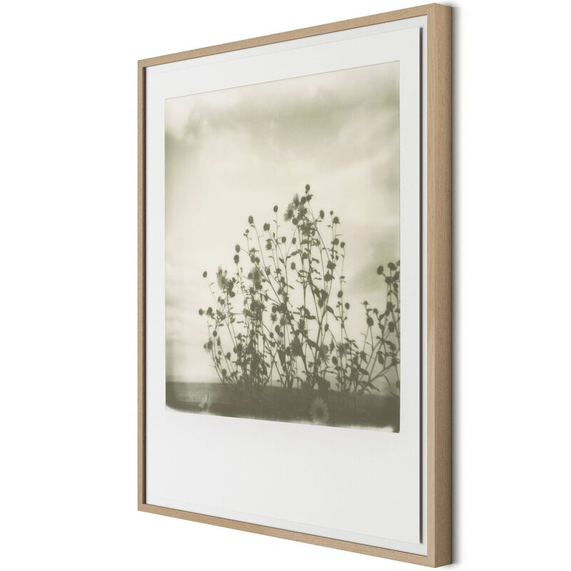 Sunflowers by Darden Smith image number 3