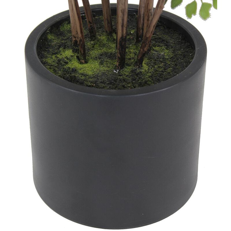 Faux Maidenhair Fern image number 4
