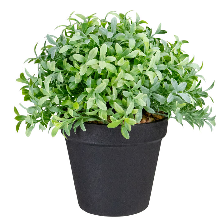 7.5" Potted Green Artificial Boxwood Plant