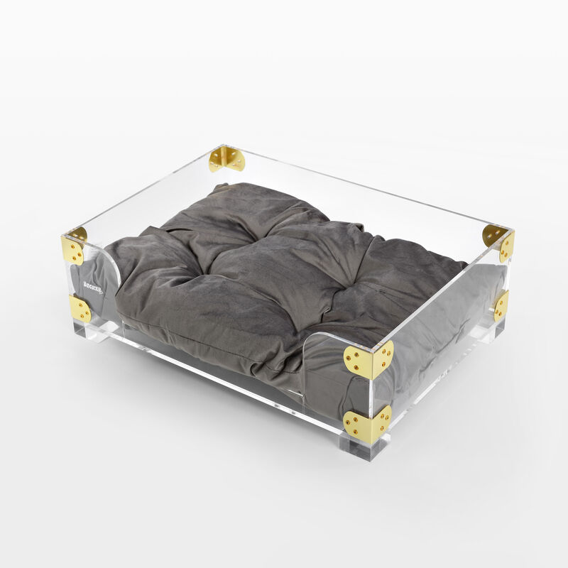 Haines Small/Medium Modern Lucite Velvet Pet Bed with Washable Cushion