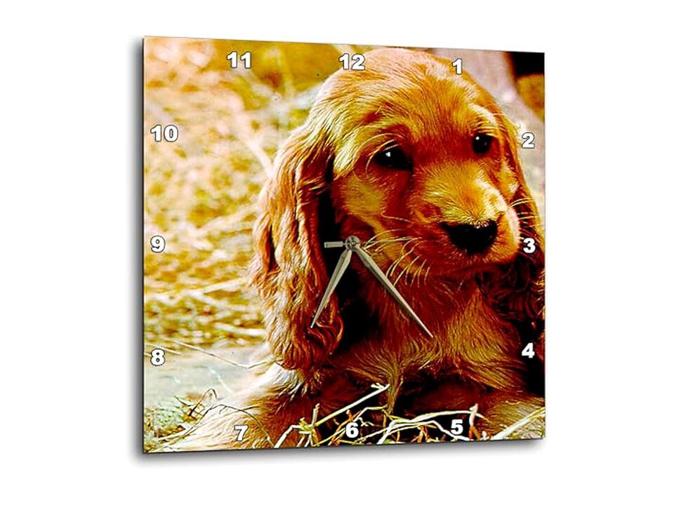 Irish Setter Puppy Wall Clock 10 Inch Home Decor