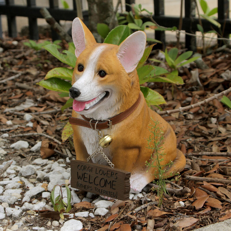 Jasper the Welsh Corgi Dog Realistic Lifelike Statue with Reversible Sign image number 6