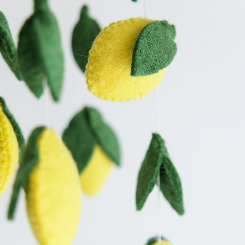 Lemon Mobile image number 2