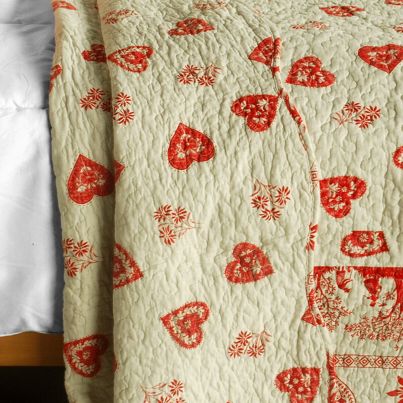 Amelie Cotton Quilted Printed Quilt Set 3PC Queen Size Cozy Bedding image number 3