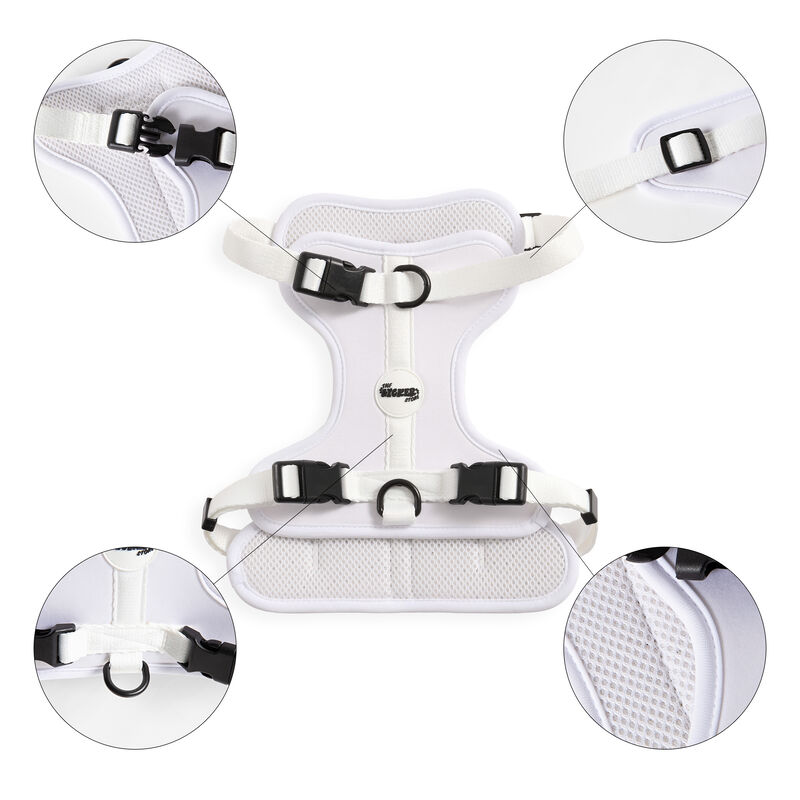 Arlo Adjustable Soft Padded No Pull Pet Harness with 3 Buckles and 3 Leash Clips