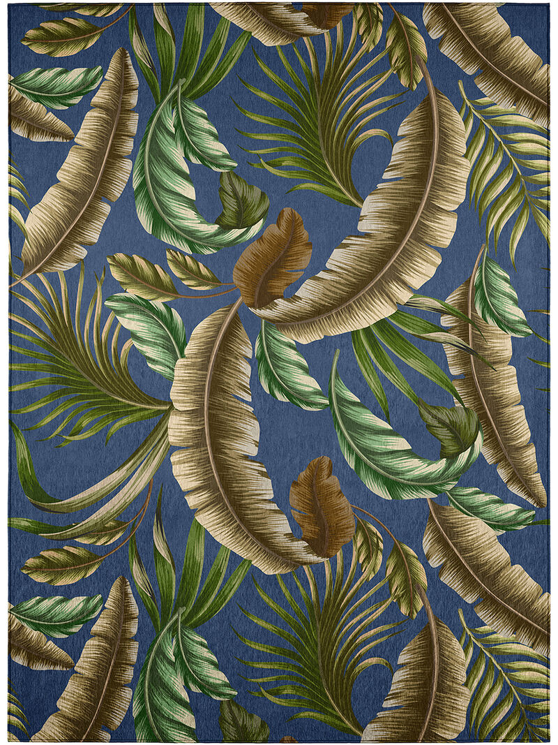 Tropics TC1 Collection