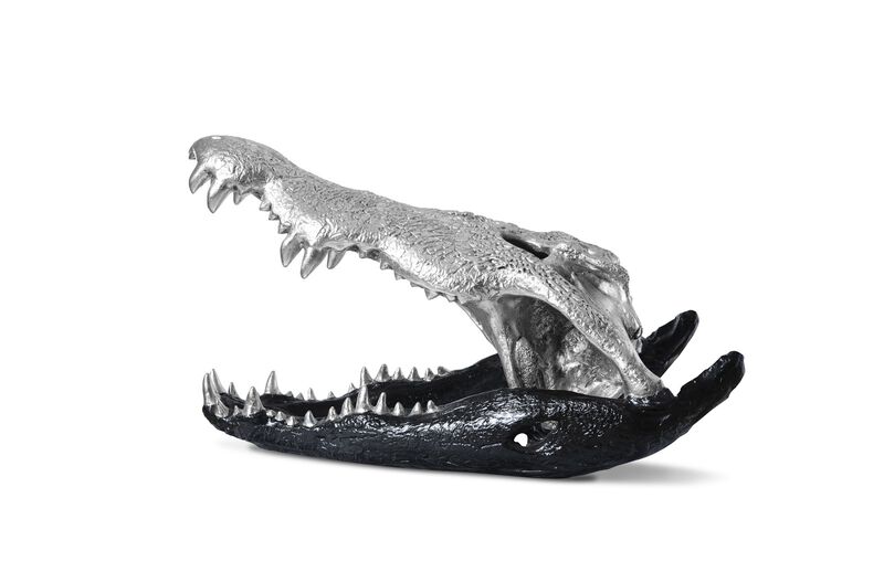 Crocodile Skull