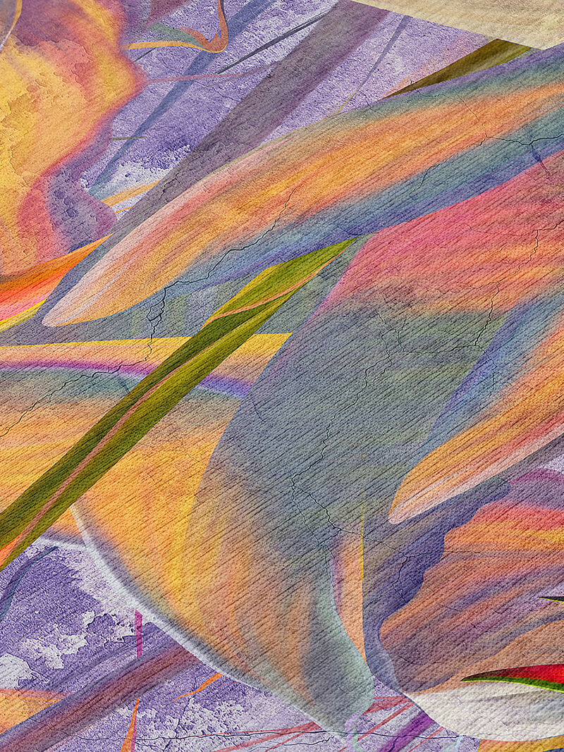 Tropics TC14 Collection