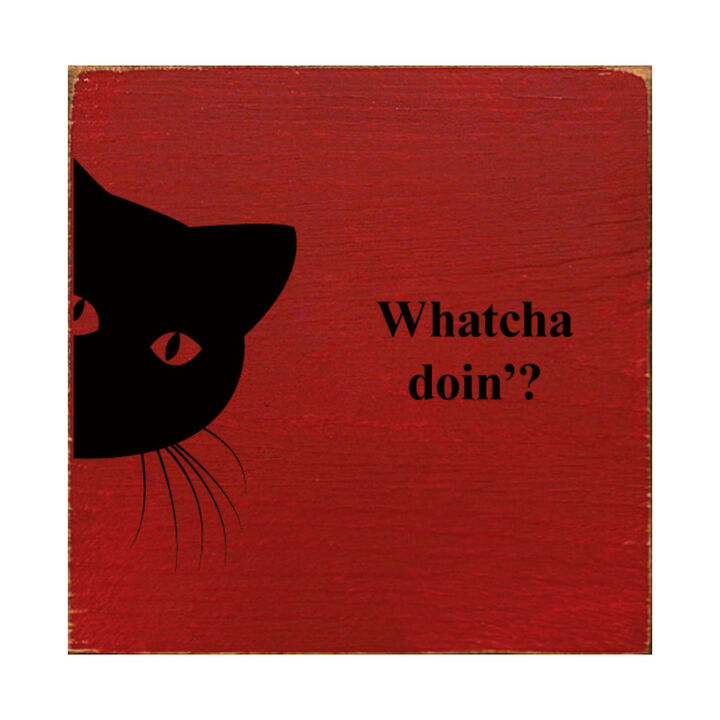 Funny Cat Wooden Sign Cute Cat Wall Decor Gift for Cat Lovers