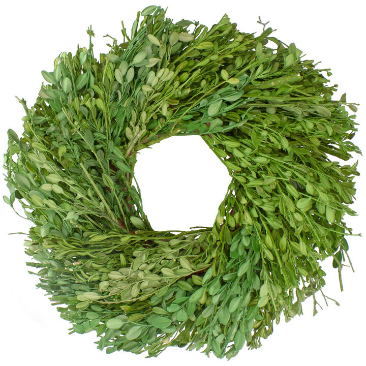 Green Foliage Artificial Spring Wreath  11-Inch