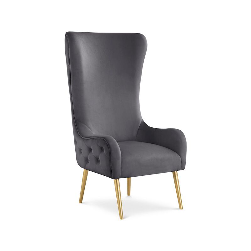 Meridian Furniture Alexander Velvet Accent Chair