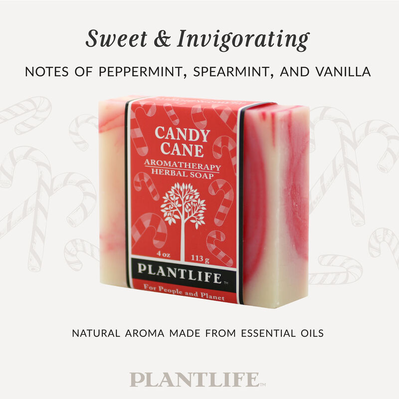 Plantlife Bar Soap -  Candy Cane image number 3